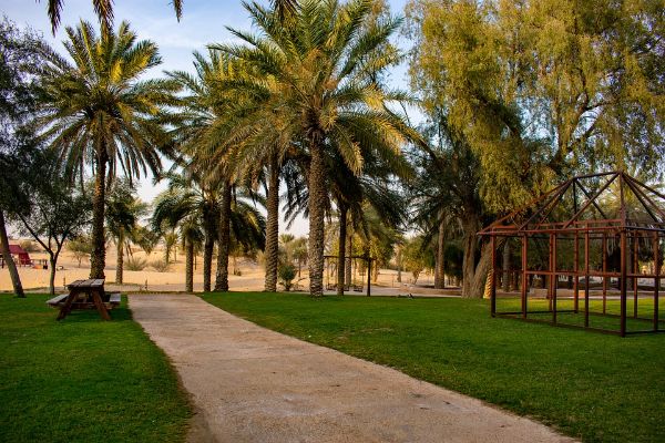 пляжный отдых в Шардже в январе